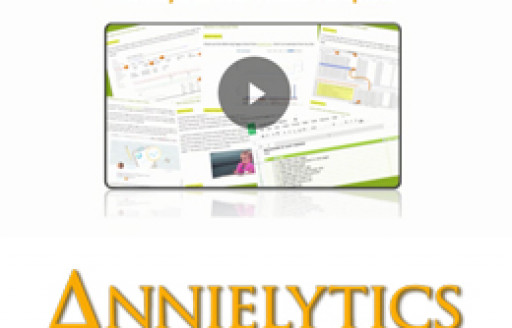 DIY Self-Guided Site Audit Template, Annie Cushing